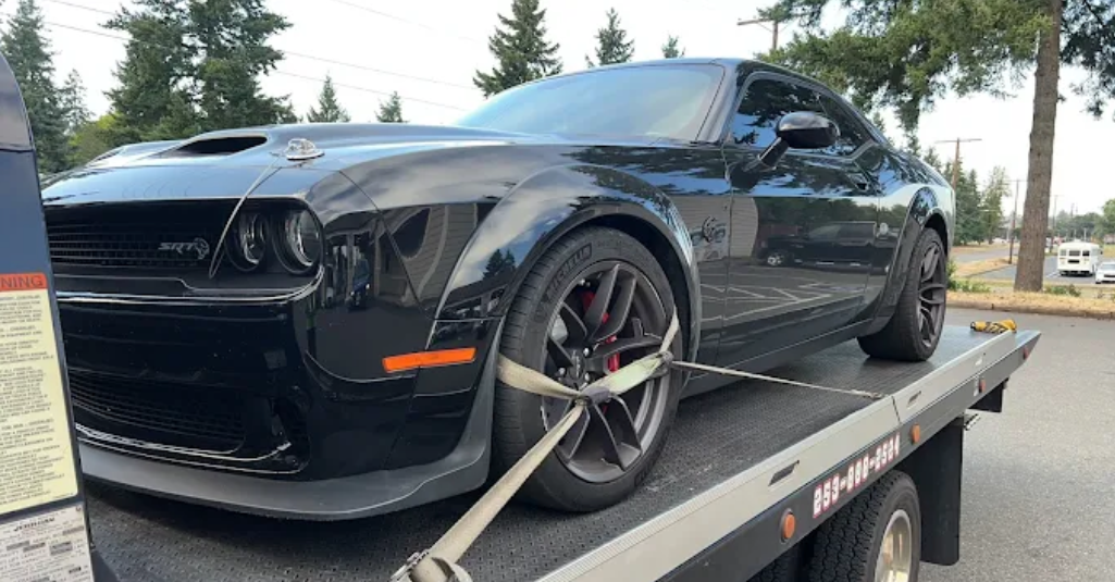 16889989252298265216