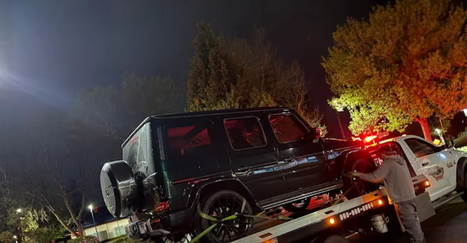 17641245332024229548